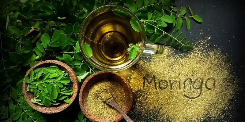Moringa sommeil Nutrimea