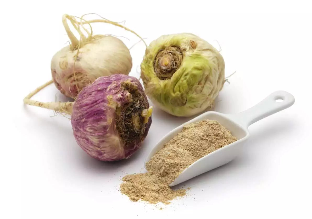 Maca du Pérou : une racine aux bienfaits insoupçonnés