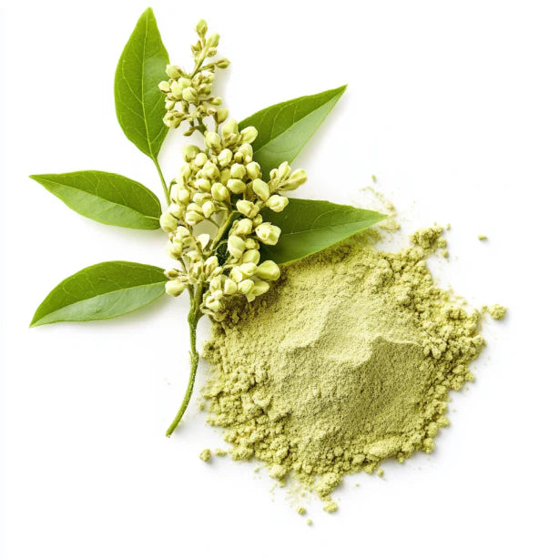 Quercétine Nutrimea