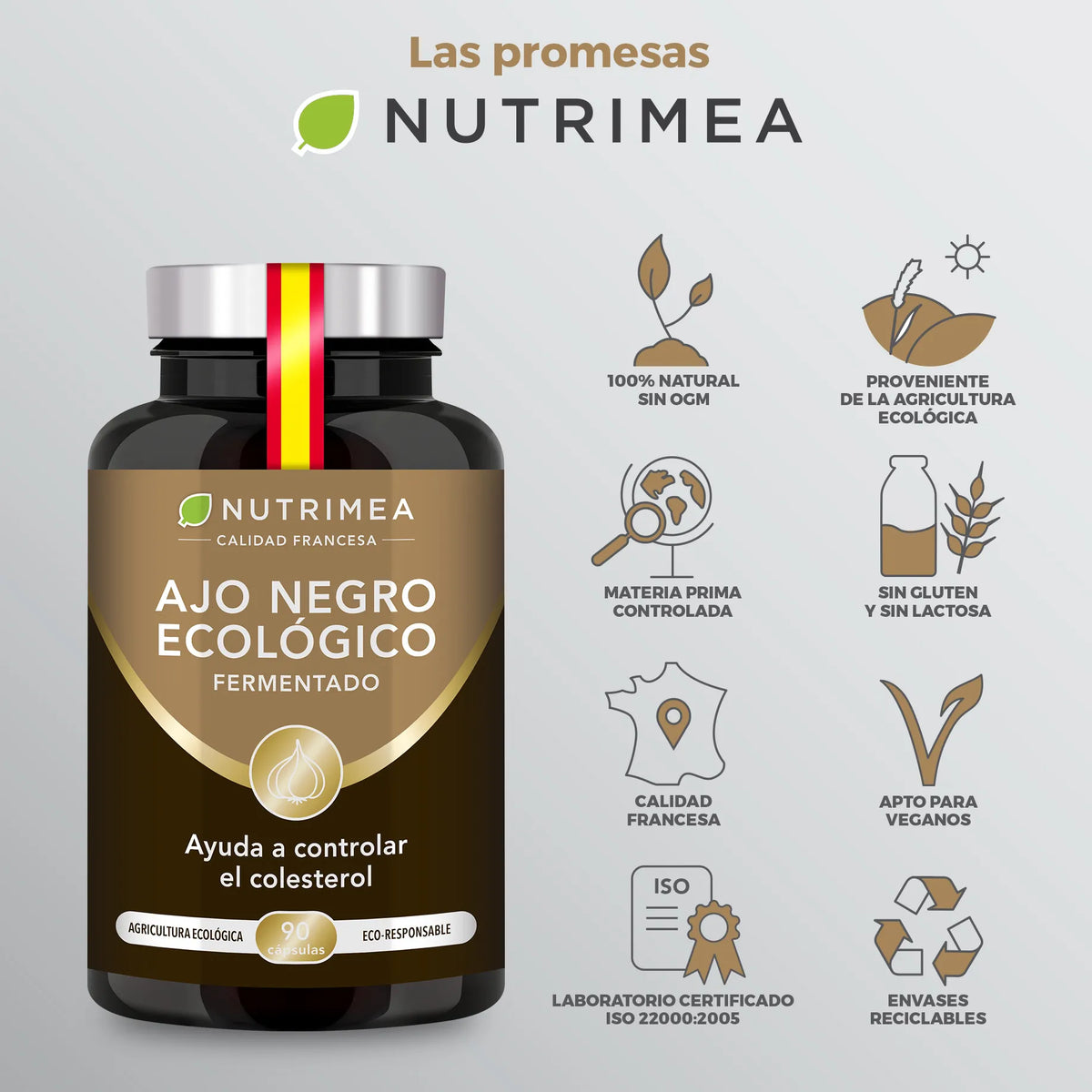 Ajo negro BIO