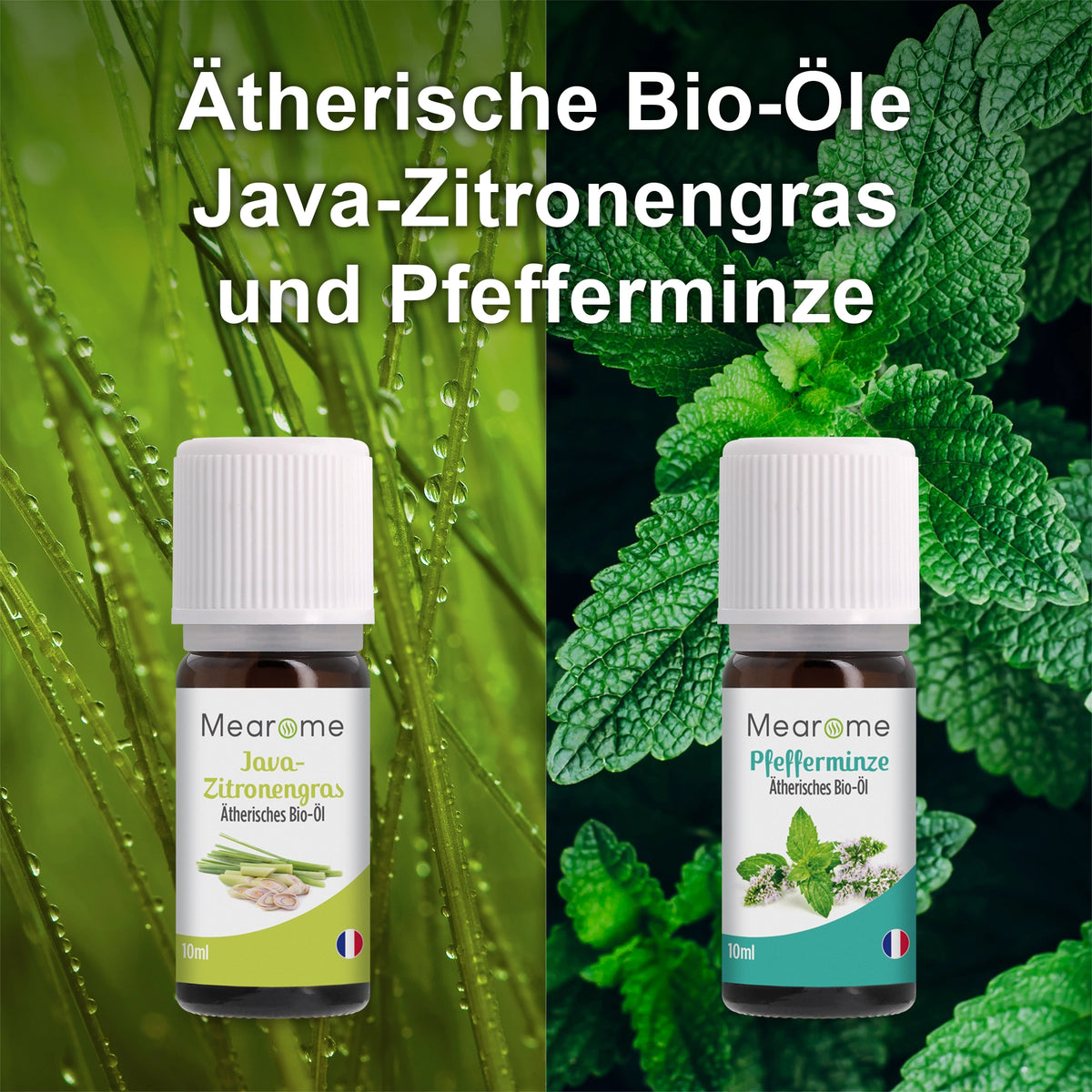 Aromatherapie Geschenk-Set - 8 Ätherische Öle 100% BIO