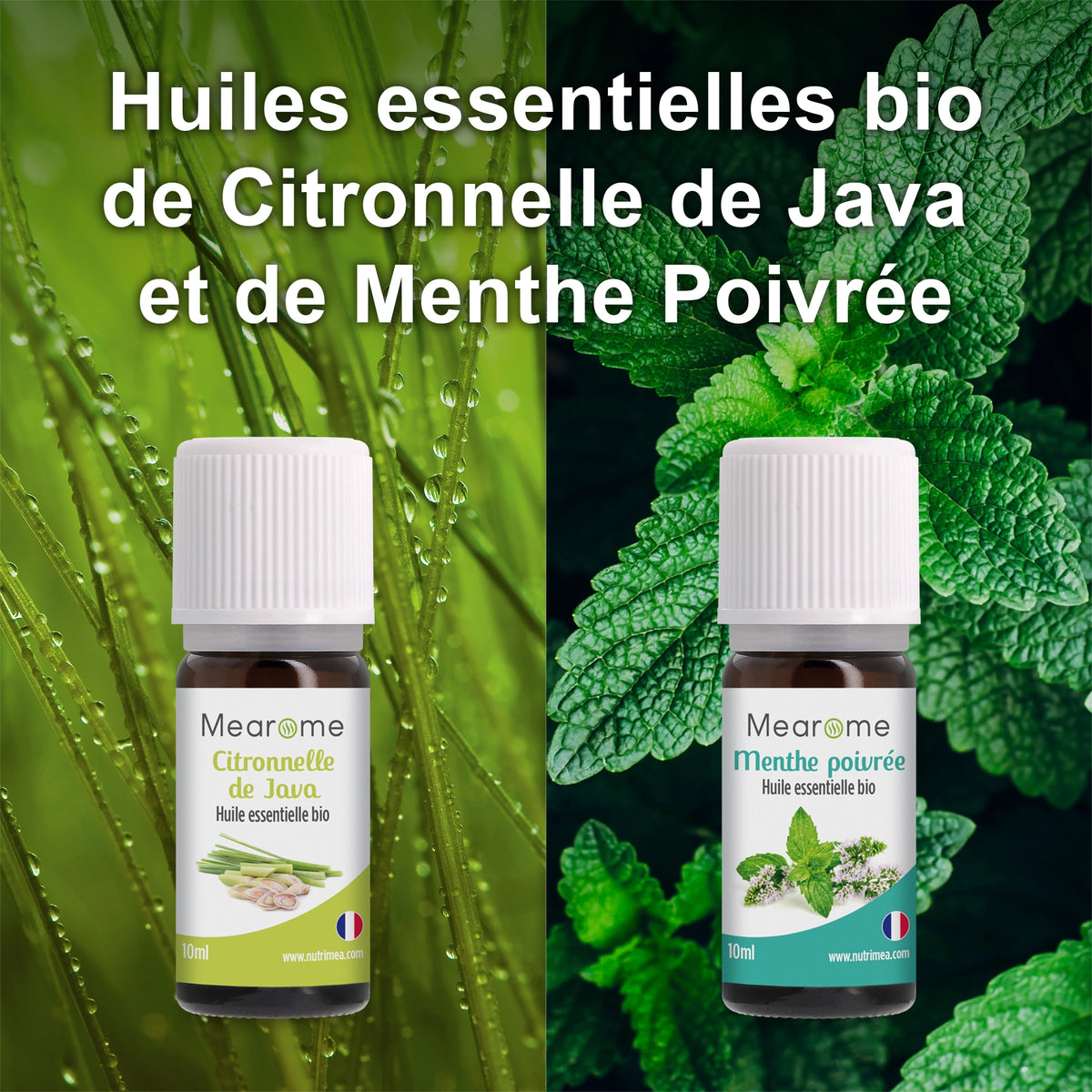 Coffret Plénitude - 8 Huiles Essentielles BIO