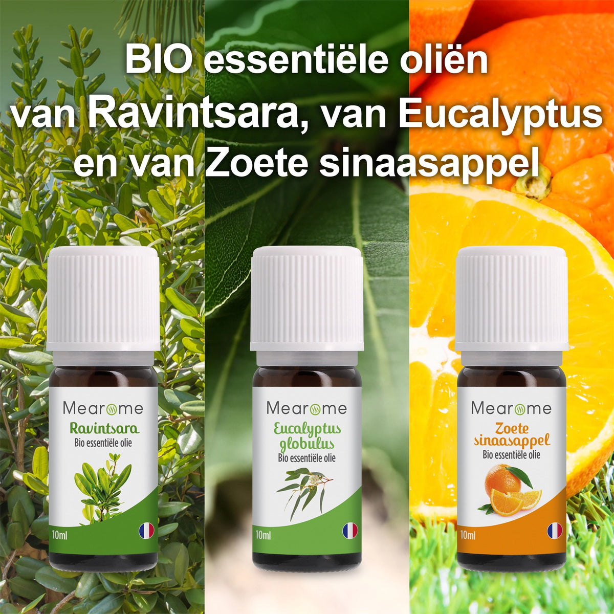 COFFRET PLENITUDE NL