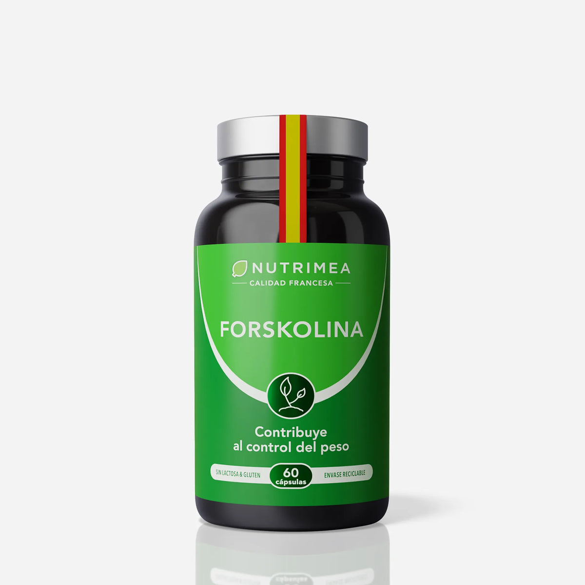 Forskolina | Coleus Forskohlii