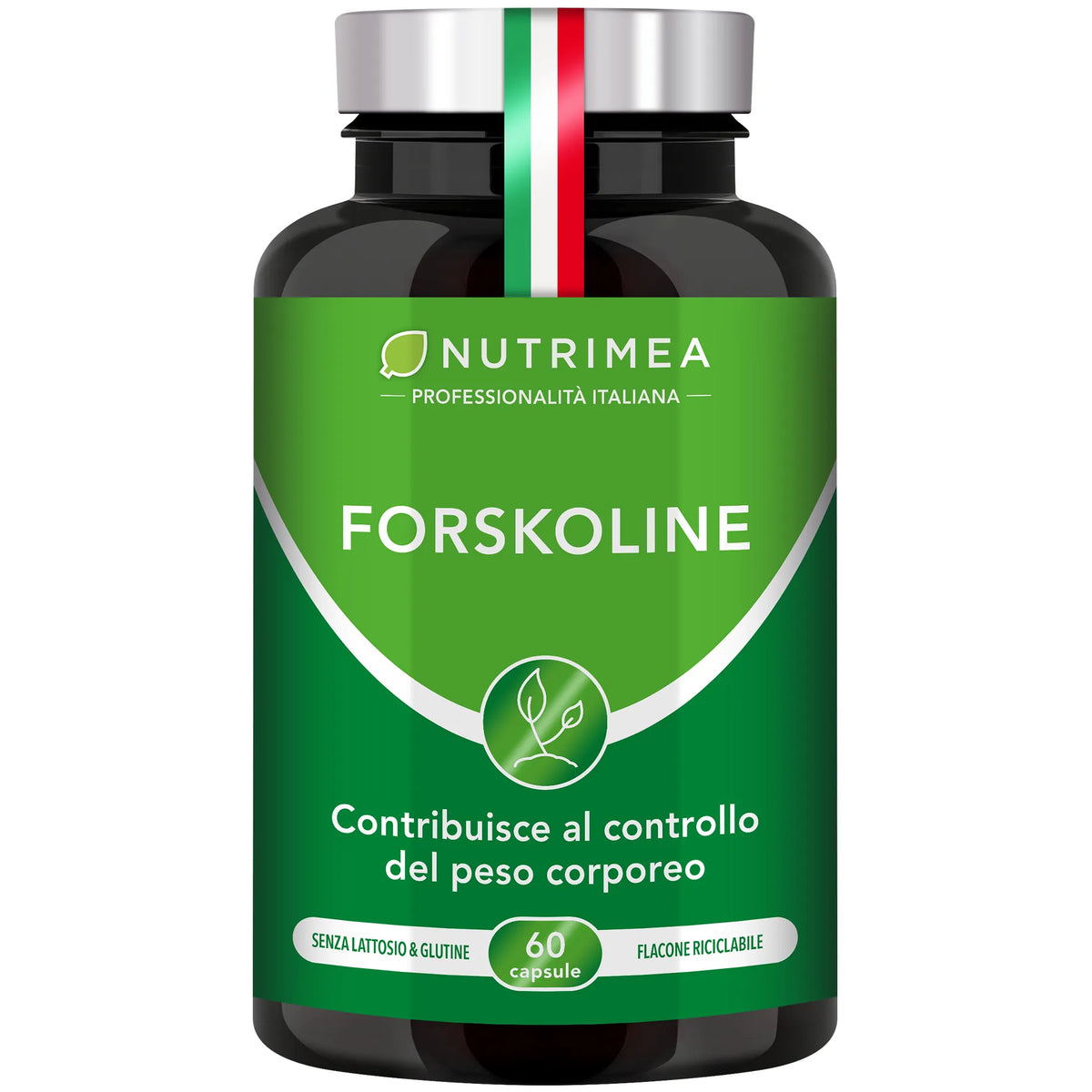 Fondo bianco del portapillole di Forskoline