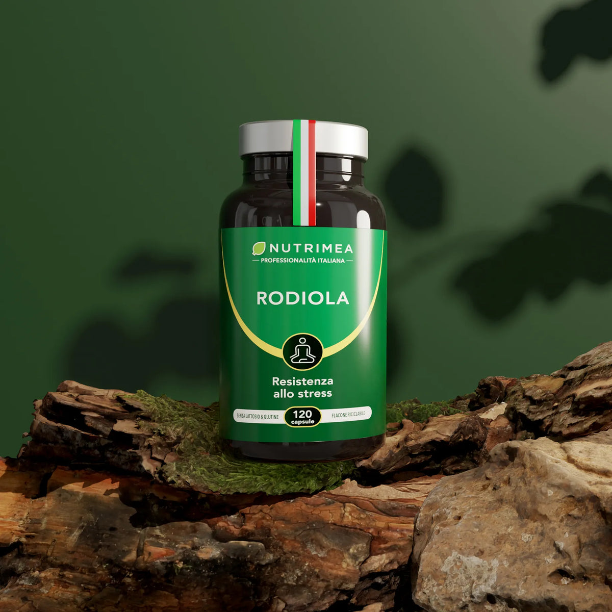 Rodiola