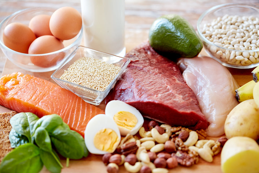 Combien de protéines par jour Nutrimea