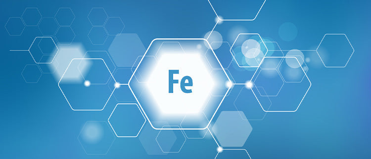 Fer Bisglycinate