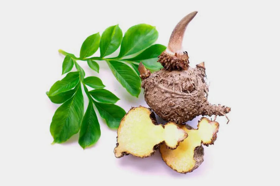 Konjac Nutrimea
