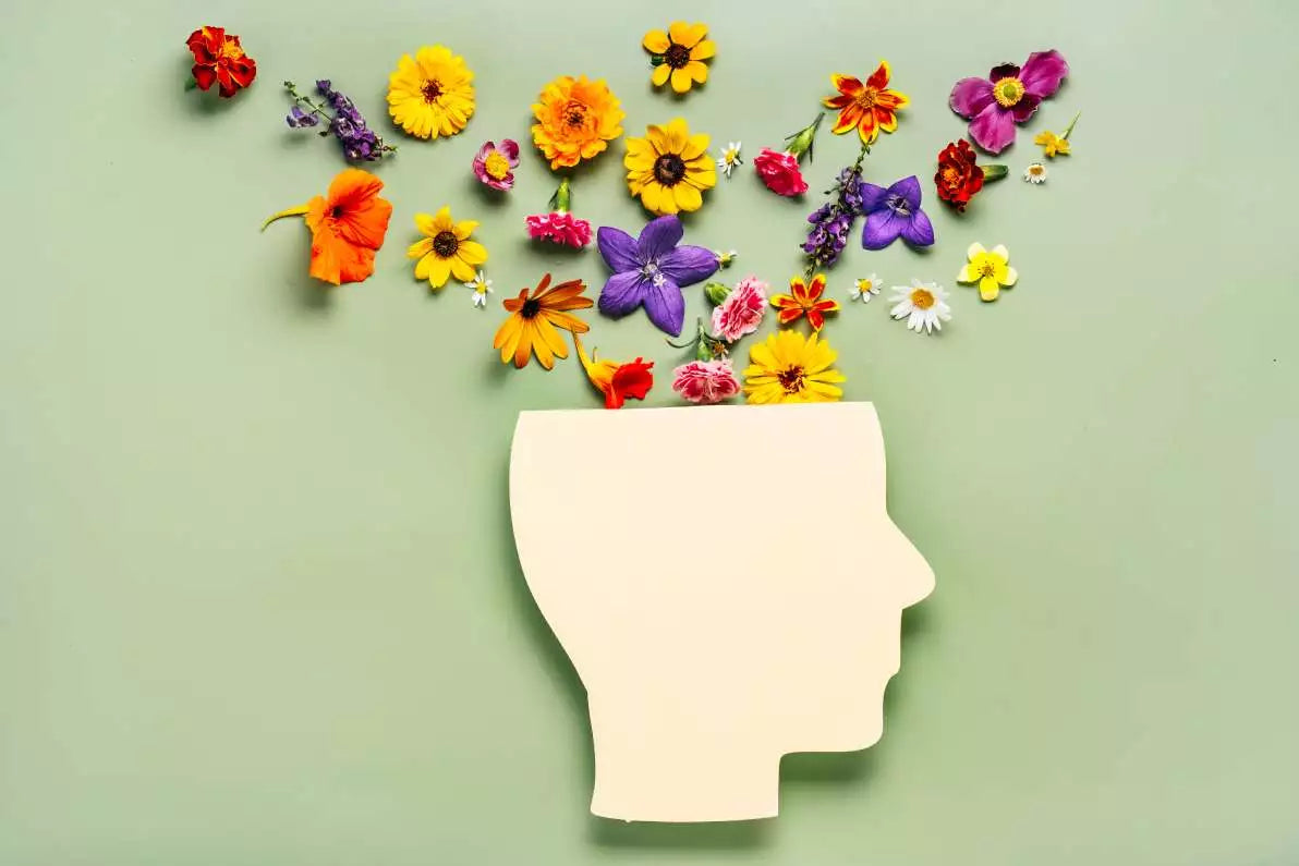 L'effet de l’ashwagandha sur le cerveau