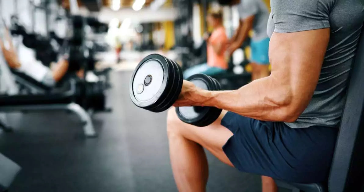 Androstènedione vs Tribulus Terrestris : quel complément choisir ?