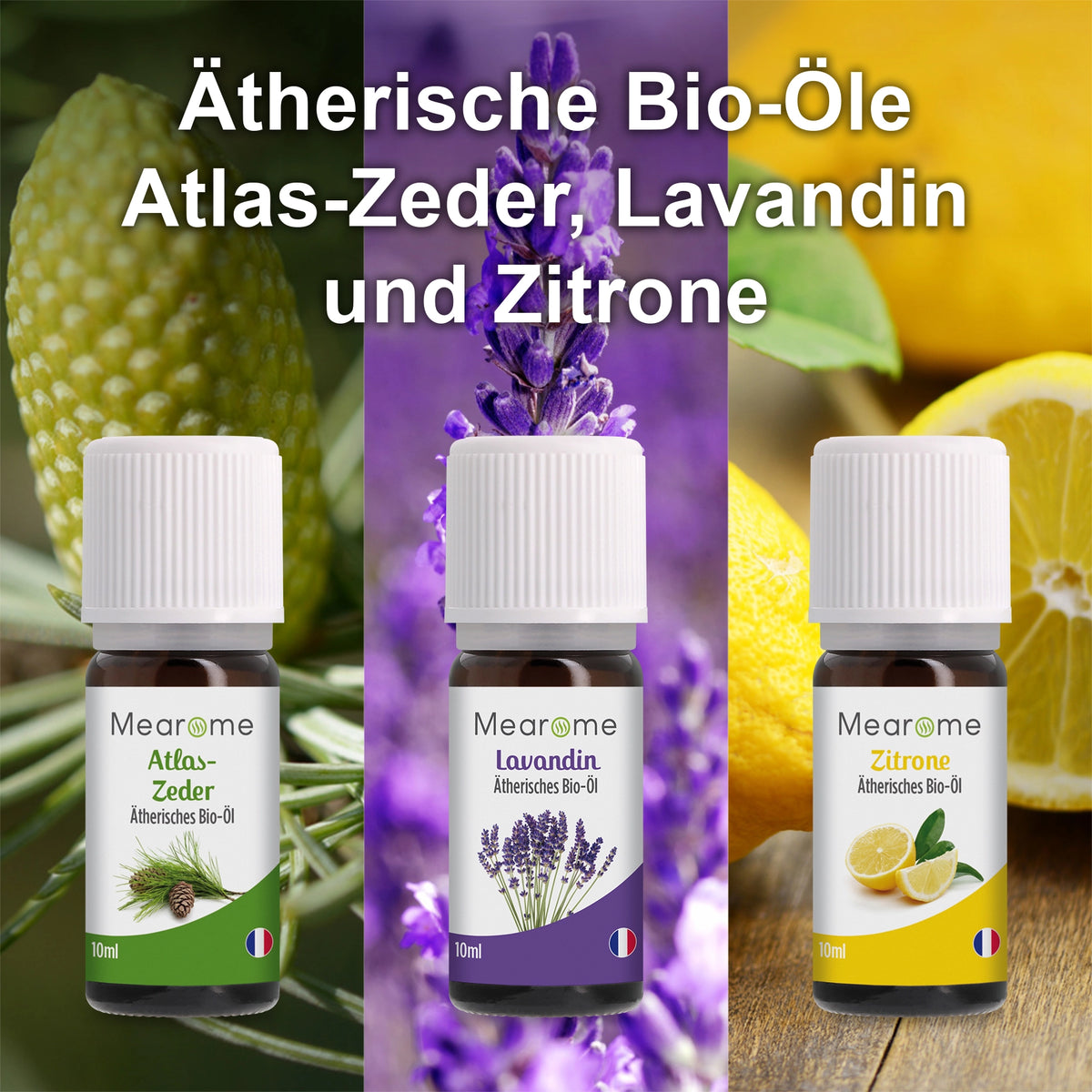 Aromatherapie Geschenk-Set - 8 Ätherische Öle 100% BIO