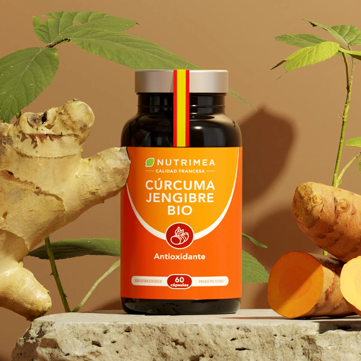 Cúrcuma con Jengibre Bio