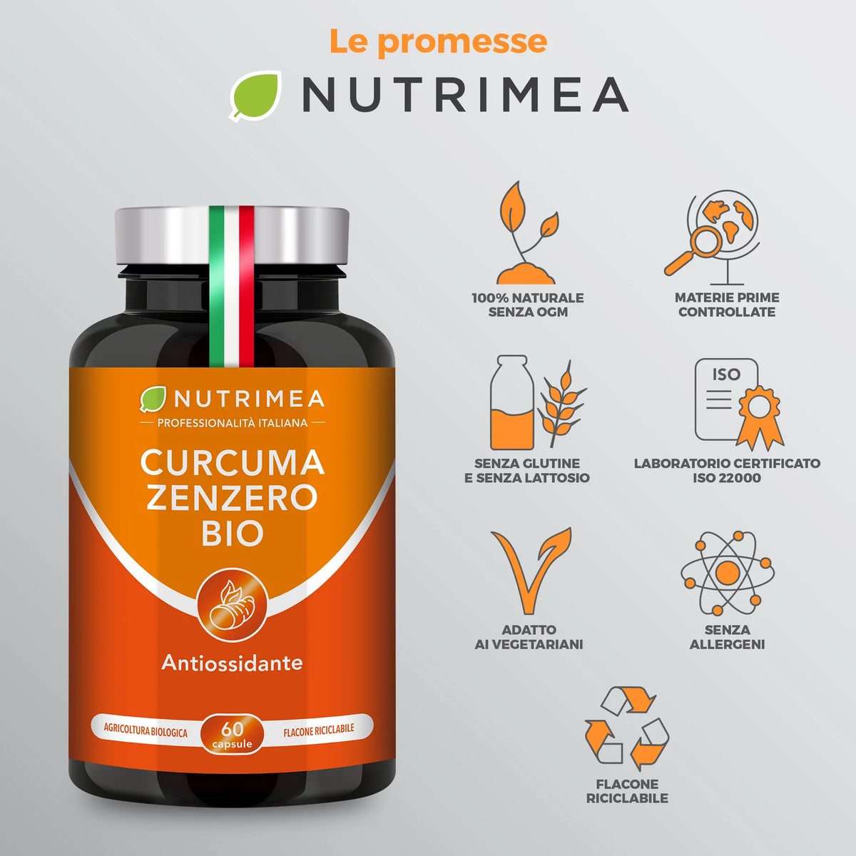 Curcuma Zenzero Bio