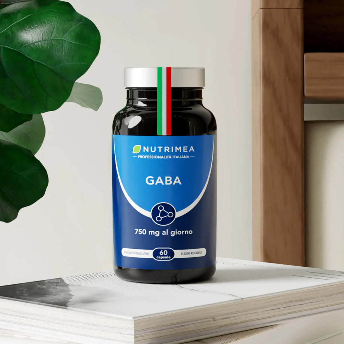 GABA