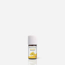 Immortelle Italienisches Helichrysum - Ätherisches Öl BIO