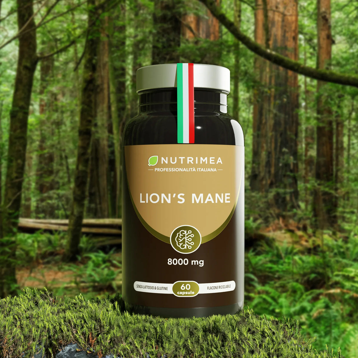 Lion's Mane - NOVITÀ